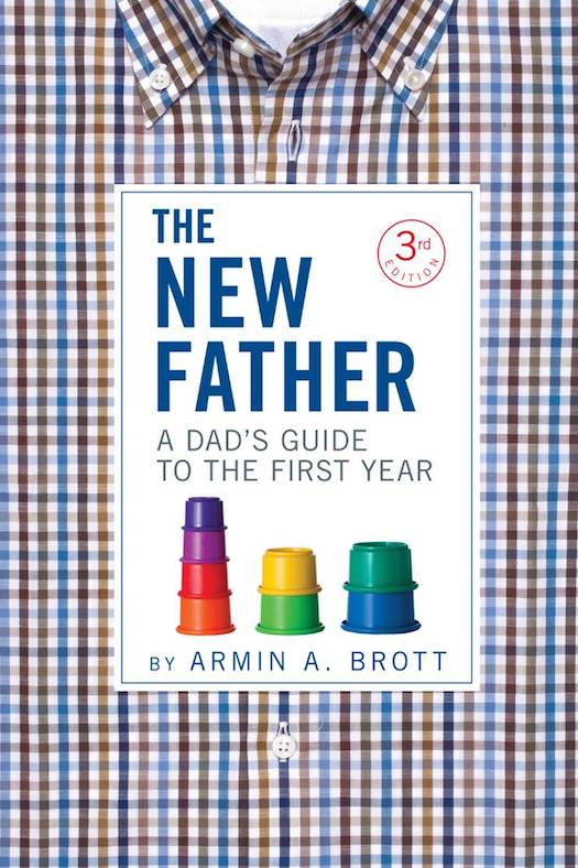 The New Father Armin A Brott