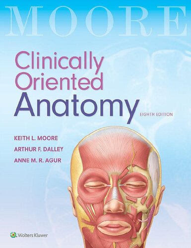 Clinically Oriented Anatomy 8th Edition 8th Keith L Moore Anne M R Agur