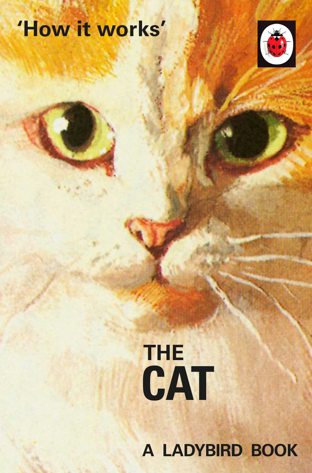 How It Works The Cat Jason Hazeley