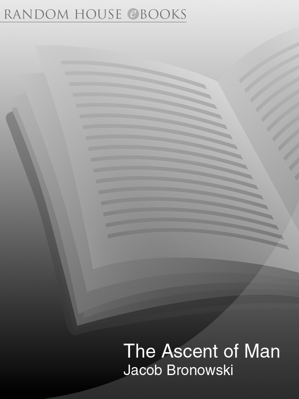 The Ascent Of Man Jacob Bronowski