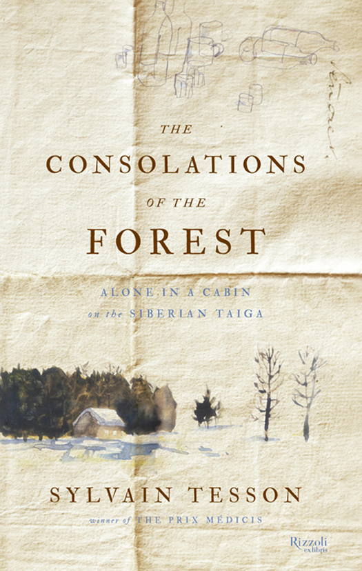 The Consolations Of The Forest Sylvain Tesson