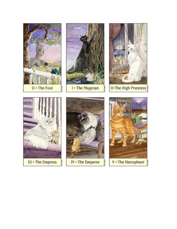 Tarot Deck Cats Eye Debra Gibin