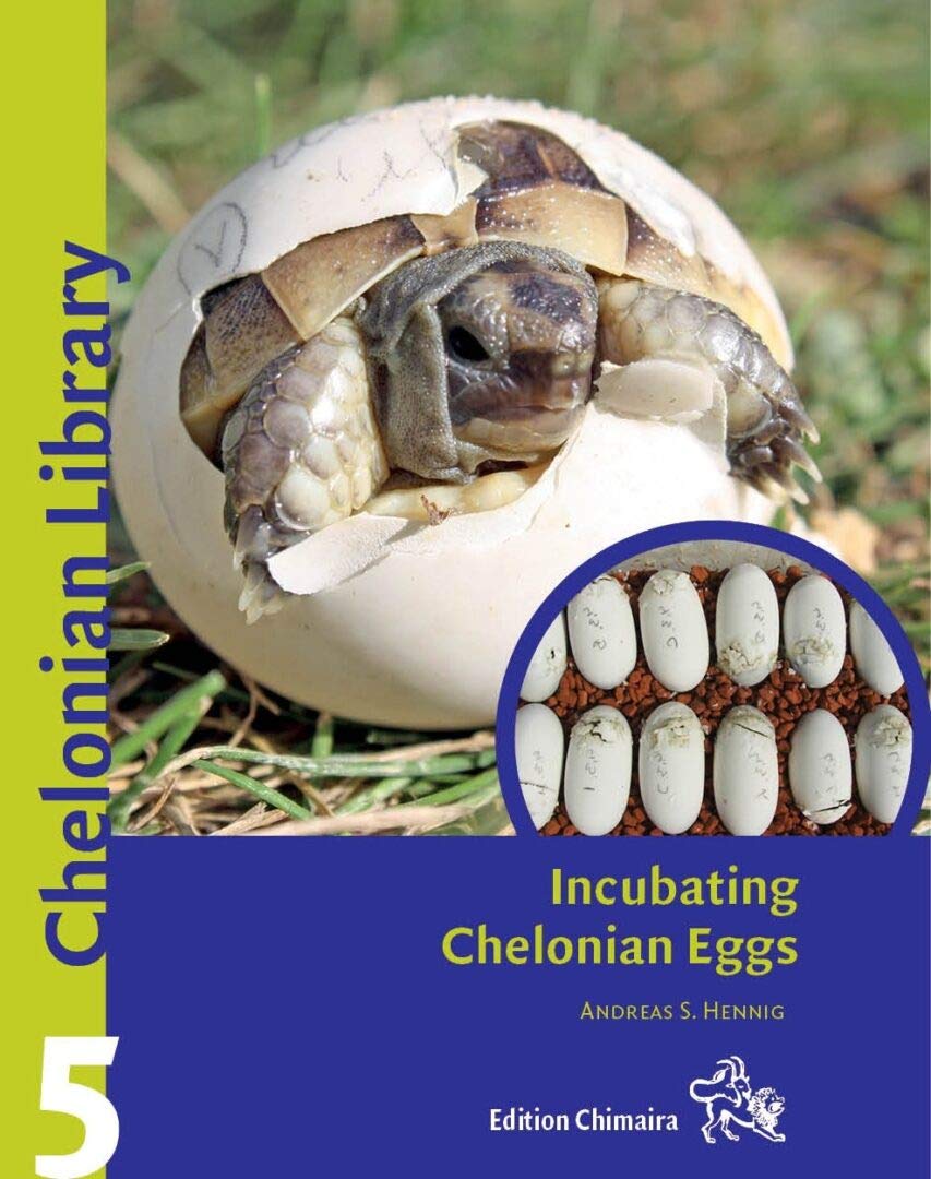 Incubating Chelonian Eggs Andreas Hennig