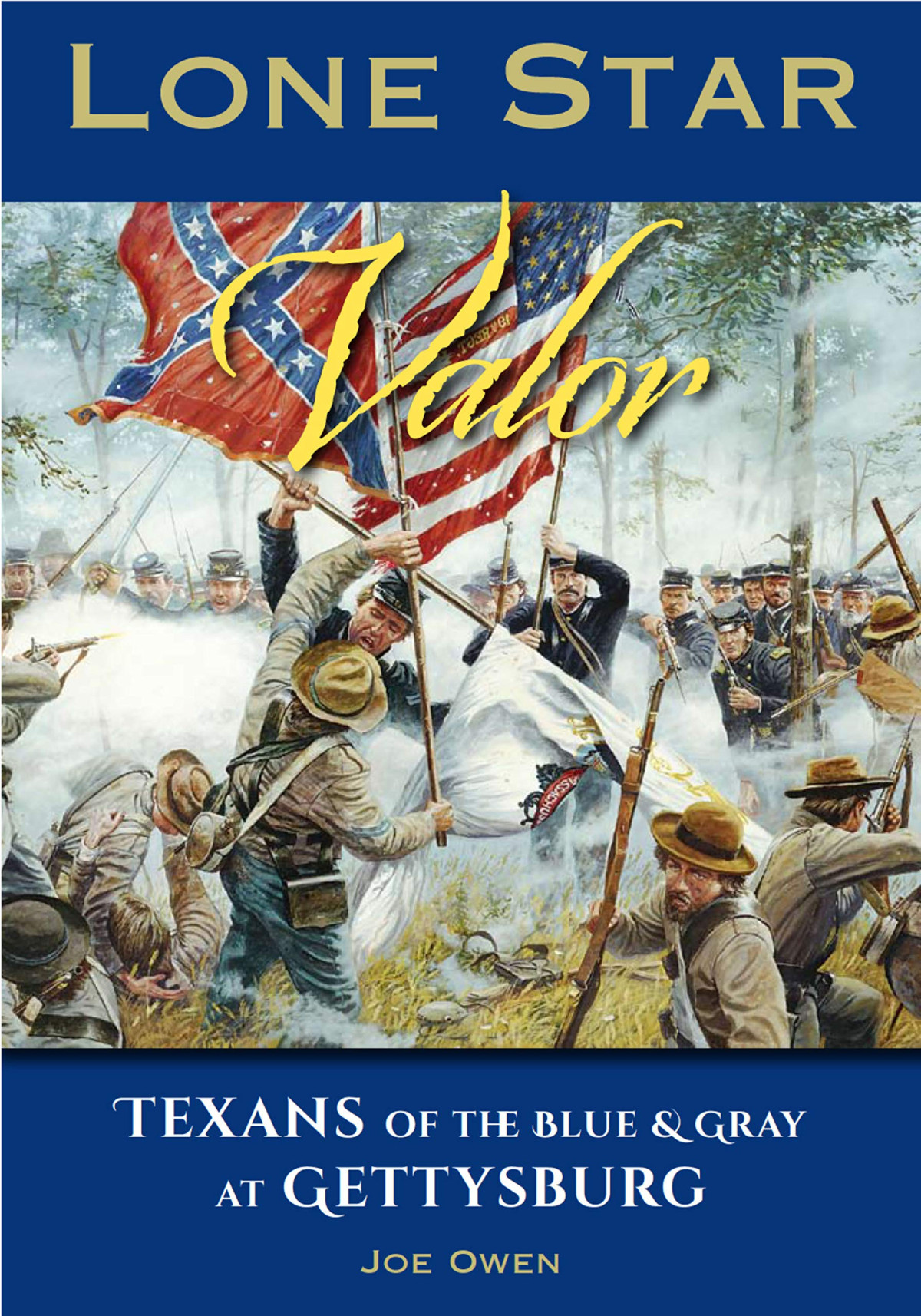 Lone Star Valor Texans Of The Blue Gray At Gettysburg Joe Owen