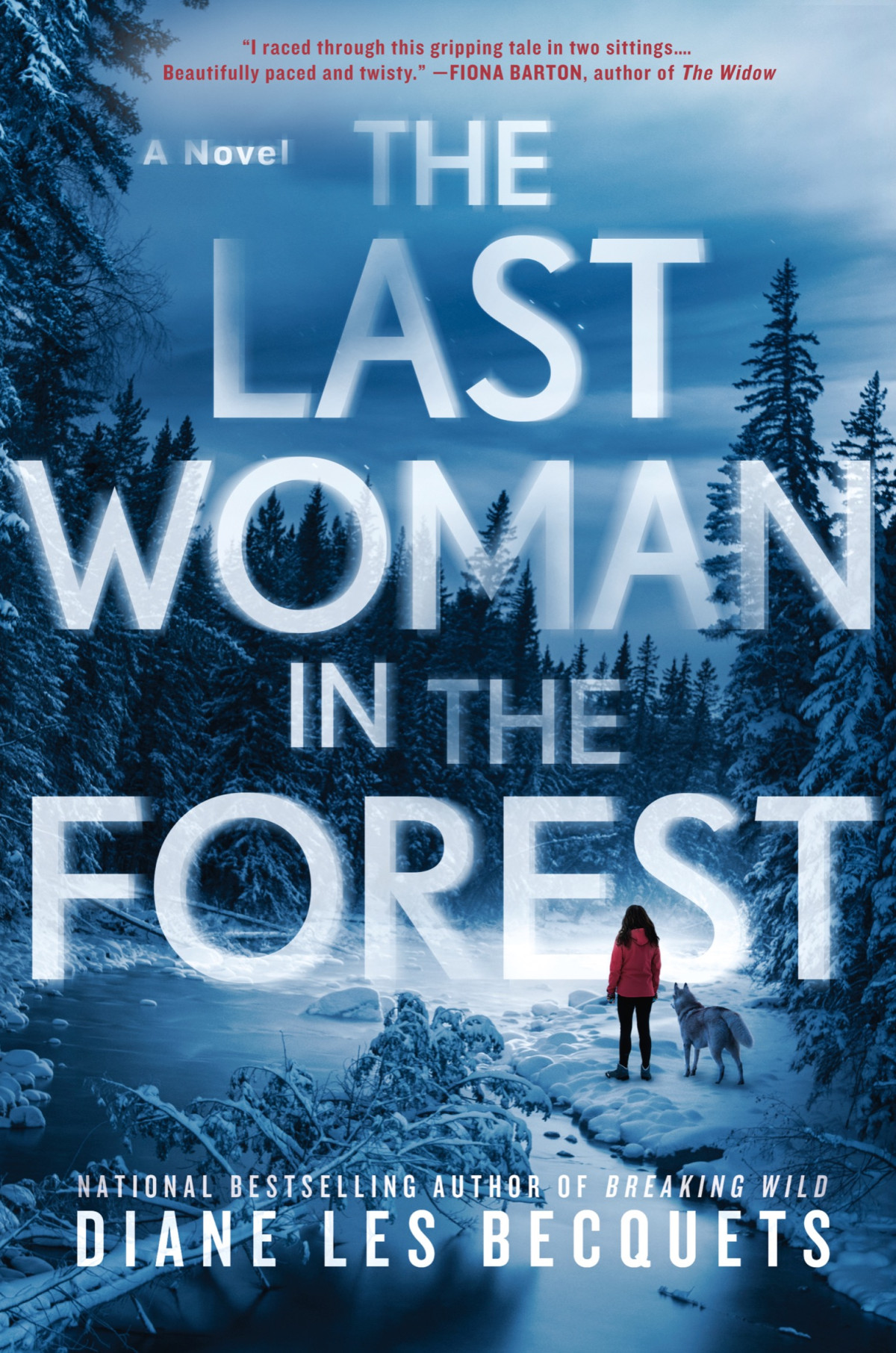 The Last Woman In The Forest Diane Les Becquets