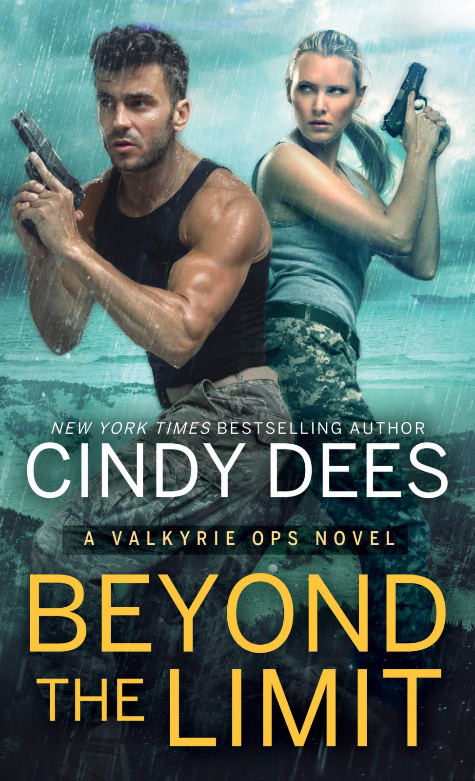 Beyond The Limit Cindy Dees