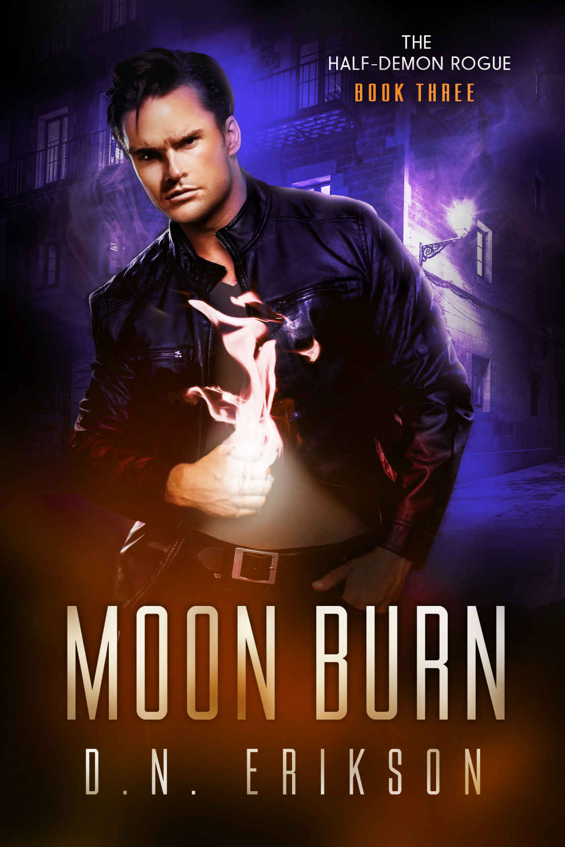 Moon Burn The Halfdemon Rogue Trilogy Book 3 Dn Erikson