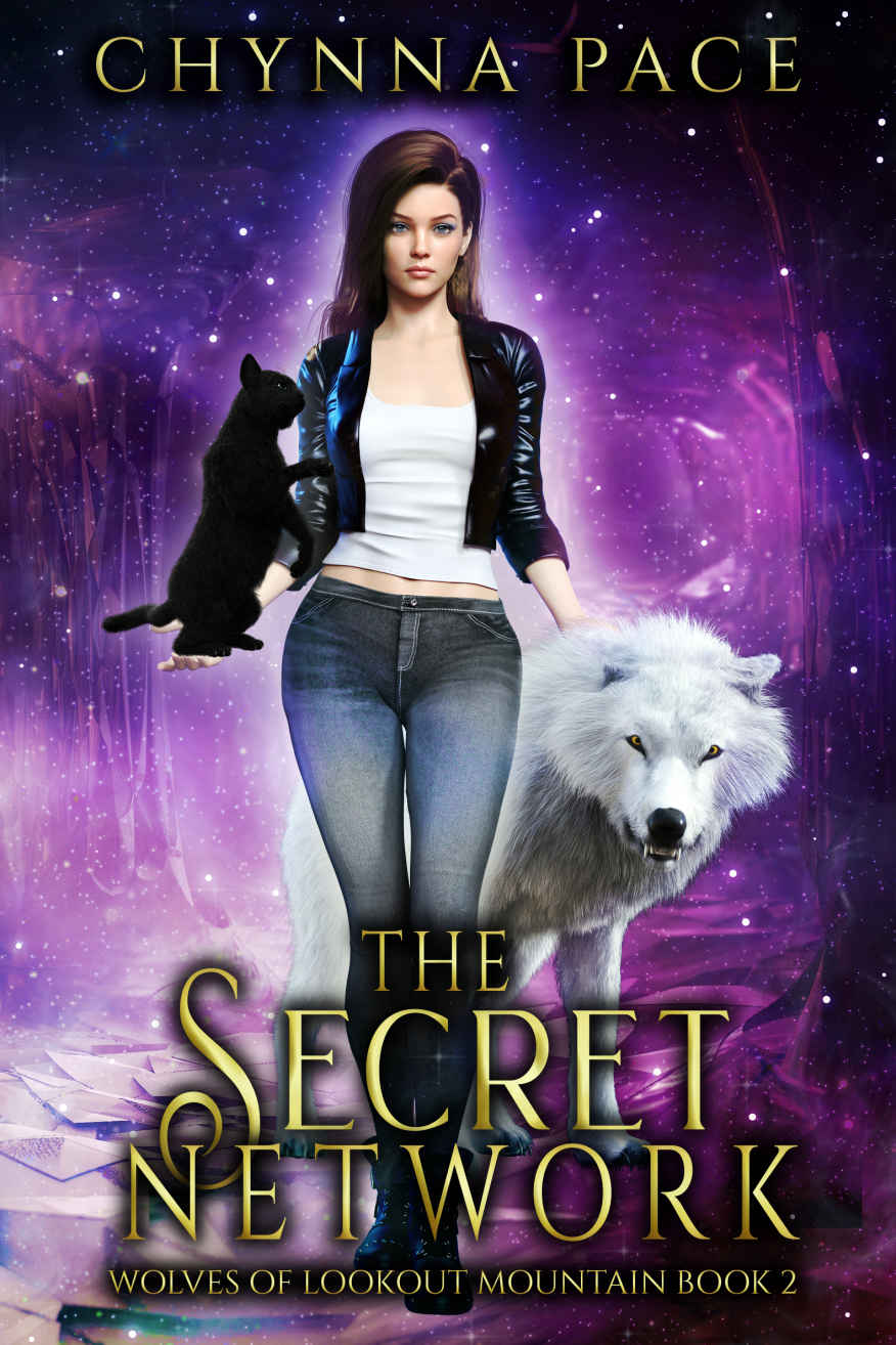 The Secret Network Wolves Of Lookout Mountain 2 1st Edition Chynna Pace