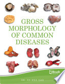 Gross Morphology Of Common Diseases Dr Zuhua Gao