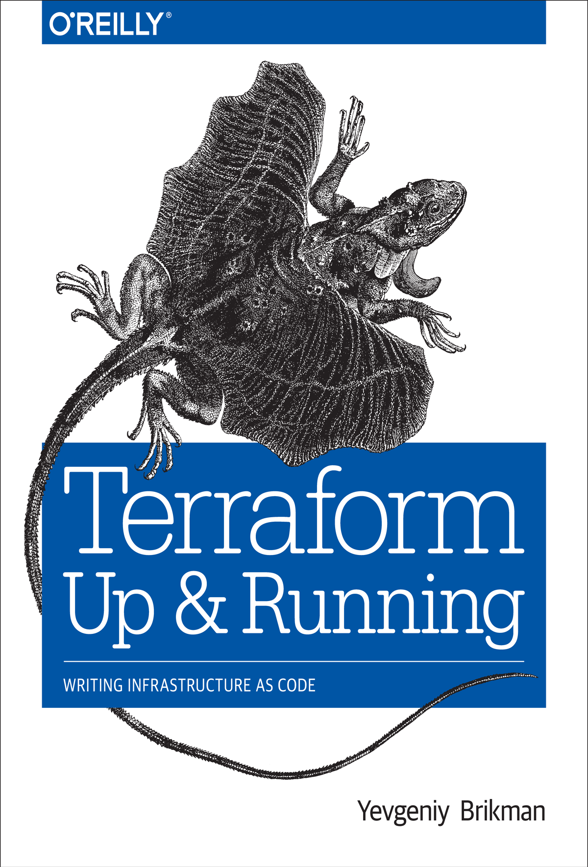 Terraform Up Running Yevgeniy Brikman