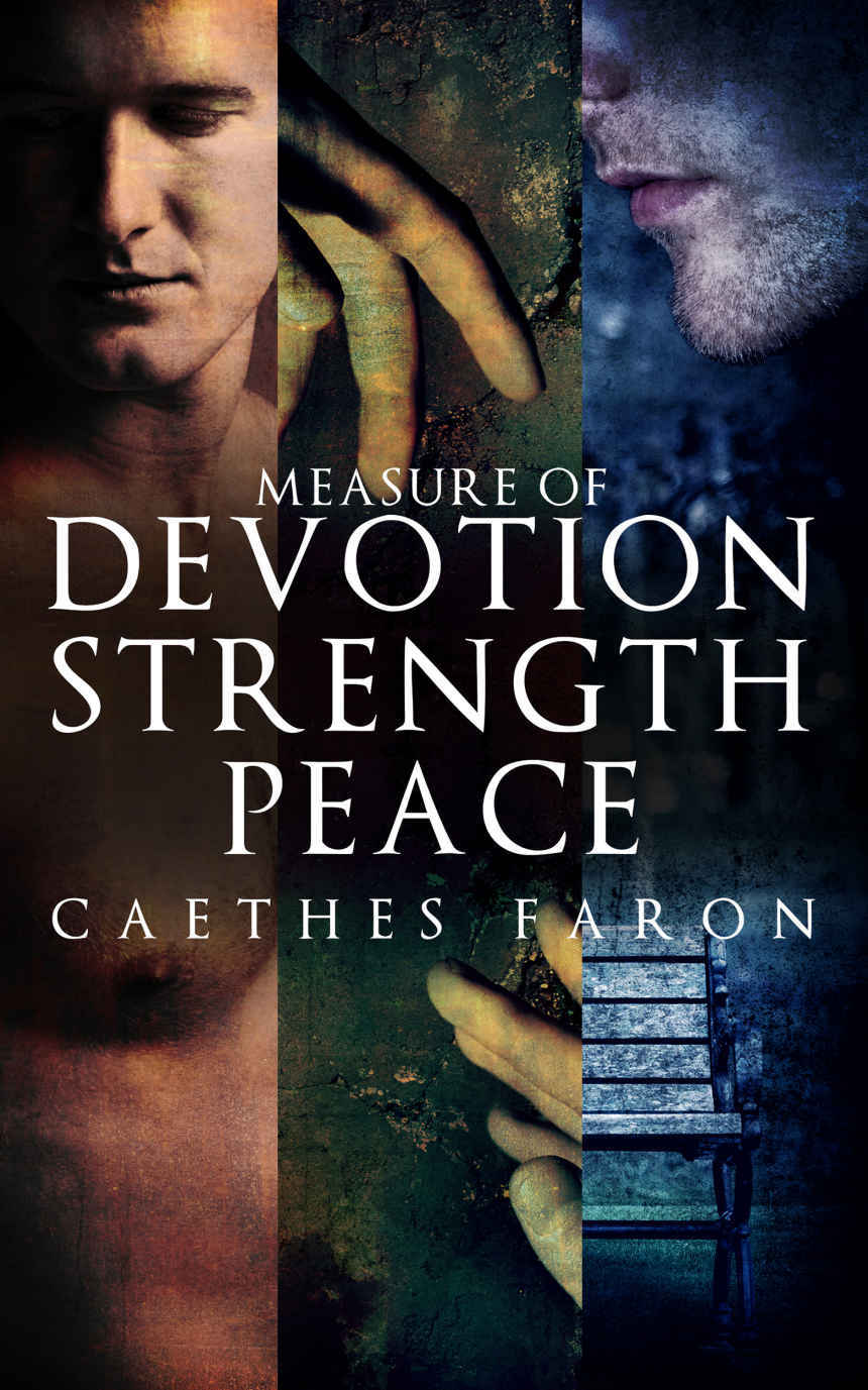 Measure Of Devotion 010 030 Box Set Caethes Faron