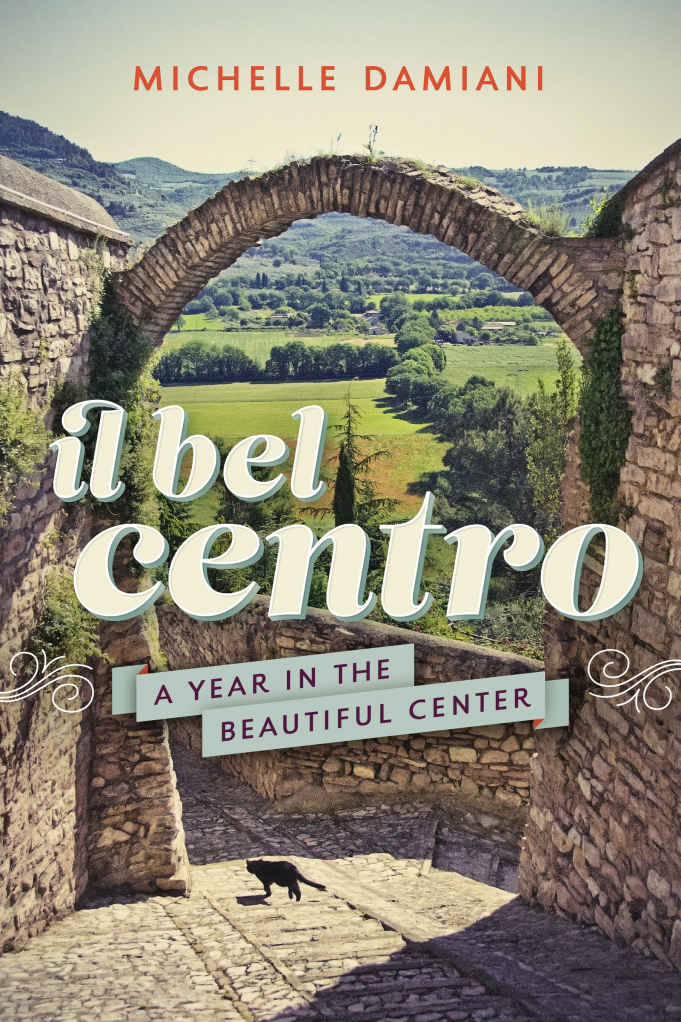 Il Bel Centro A Year In The Beautiful Center Michelle Damiani