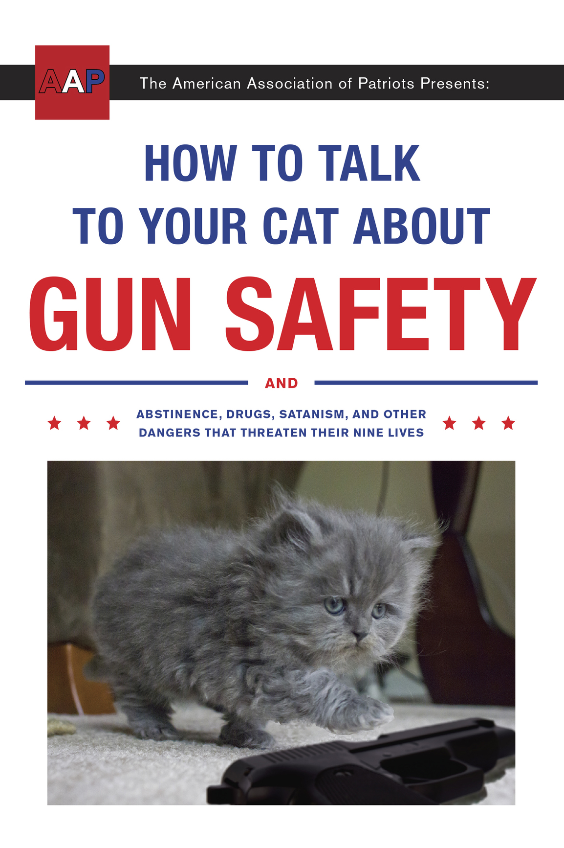 How To Talk To Your Cat About Gun Safety Zachary Auburn