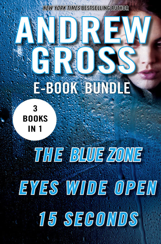 Andrew Gross Thriller Bundle Gross Andrew