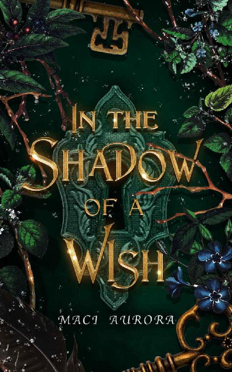 In The Shadow Of A Wish Fareview Fairy Tale 1 1st Edition Maci Aurora