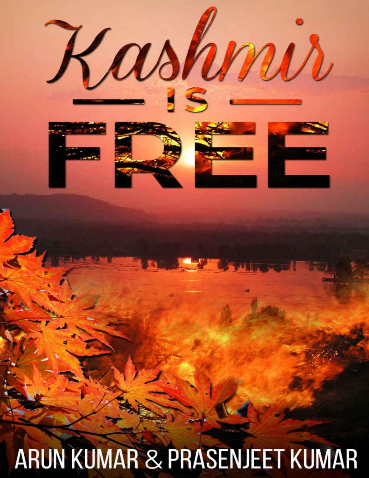 Kashmir Is Free Arun Kumar Prasenjeet Kumar