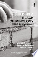 Building A Black Criminology Volume 24 James D Unnever Shaun L Gabbidon
