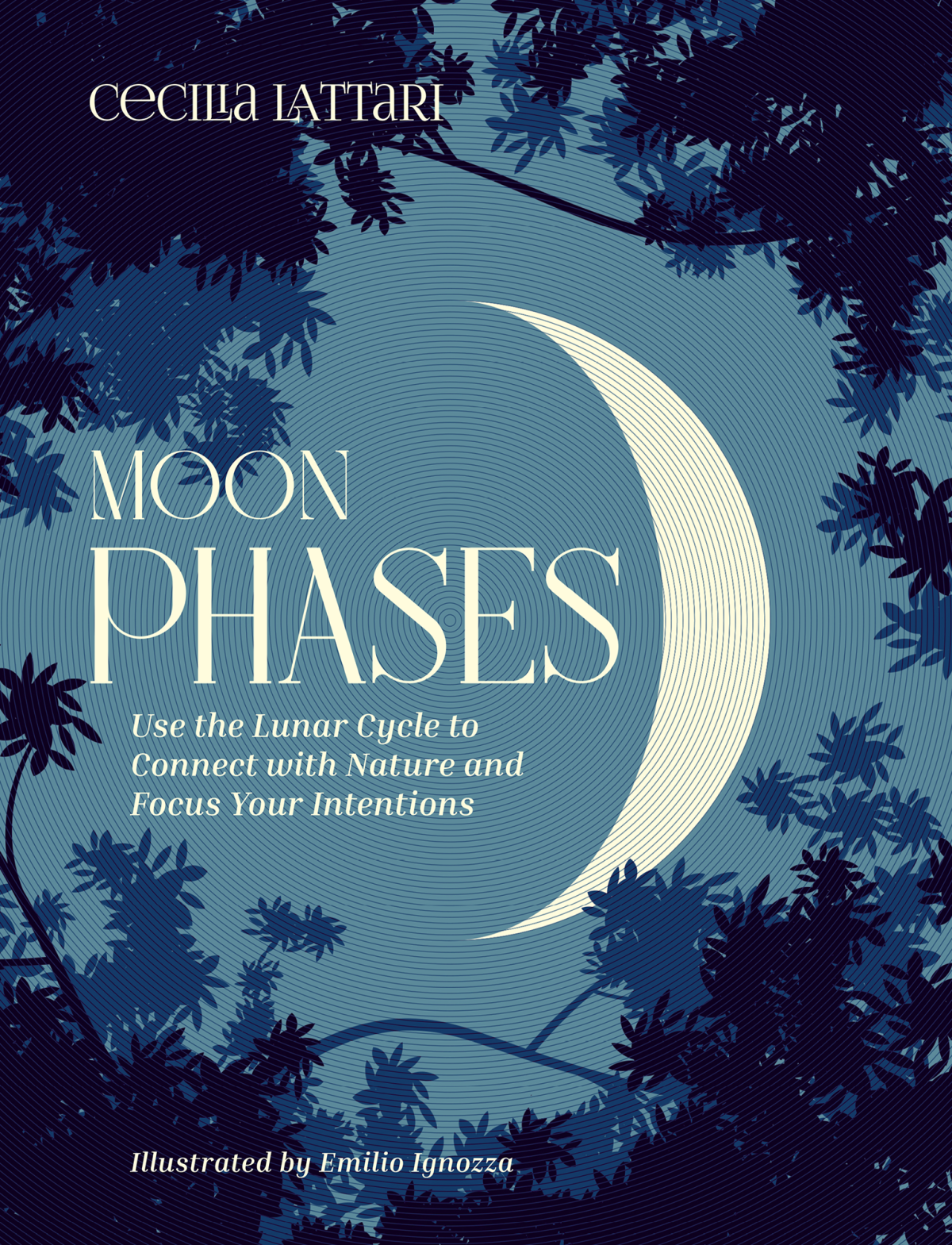 Moon Phases Use The Lunar Cycle To Connect With Nature And Focus Your Intentions Cecilia Lattari