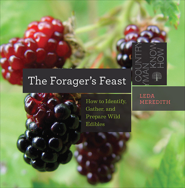 The Foragers Feast Leda Meredith