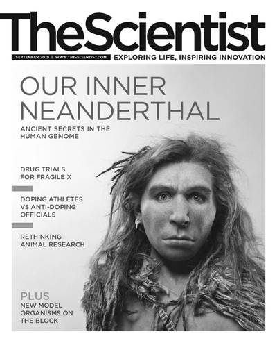 The Scientist The Scientist