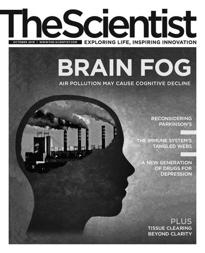 The Scientist The Scientist