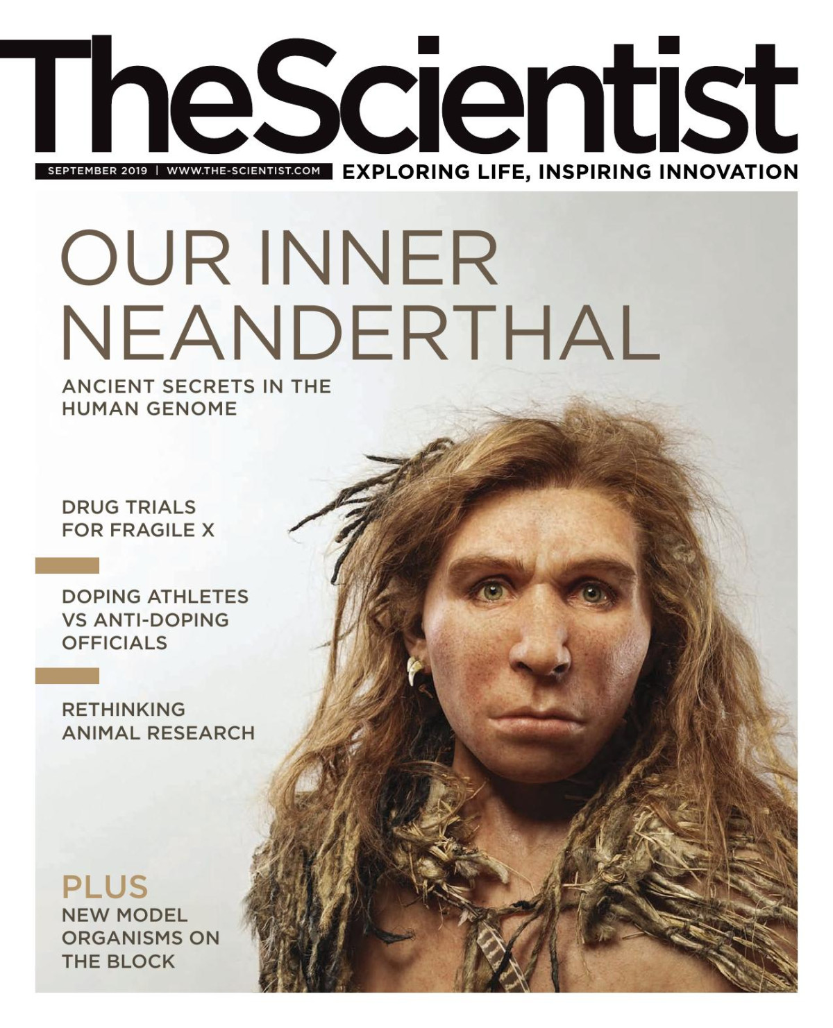 The Scientist Our Inner Neanderthal The Scientist