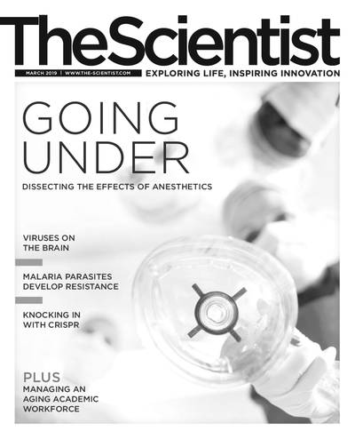 The Scientist The Scientist