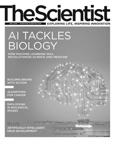 The Scientist The Scientist