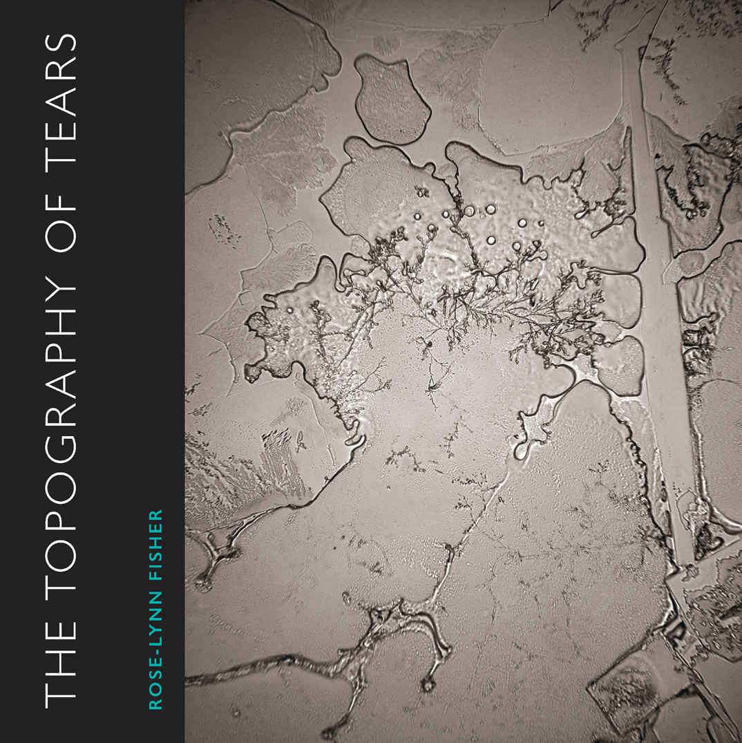 The Topography Of Tears Roselynn Fisher