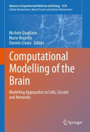 Computational Modelling Of The Brain Modelling Approaches To Cells Circuits And Networks Michele Giugliano