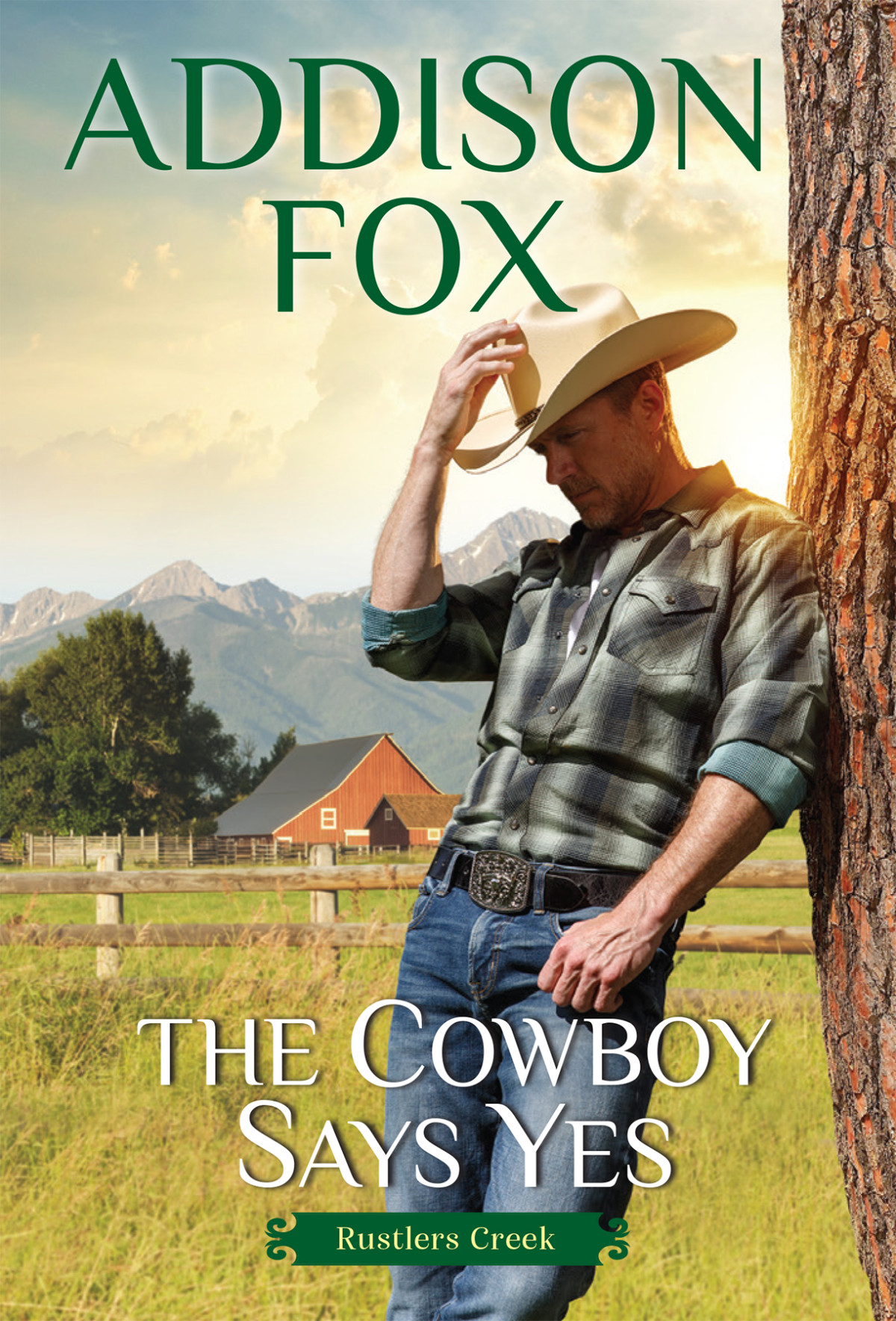 The Cowboy Says Yes Rustlers Creek 1 1st Edition Addison Fox