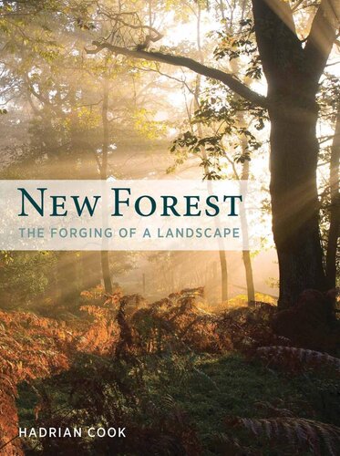 New Forest The Forging Of A Landscape Hadrian Cook