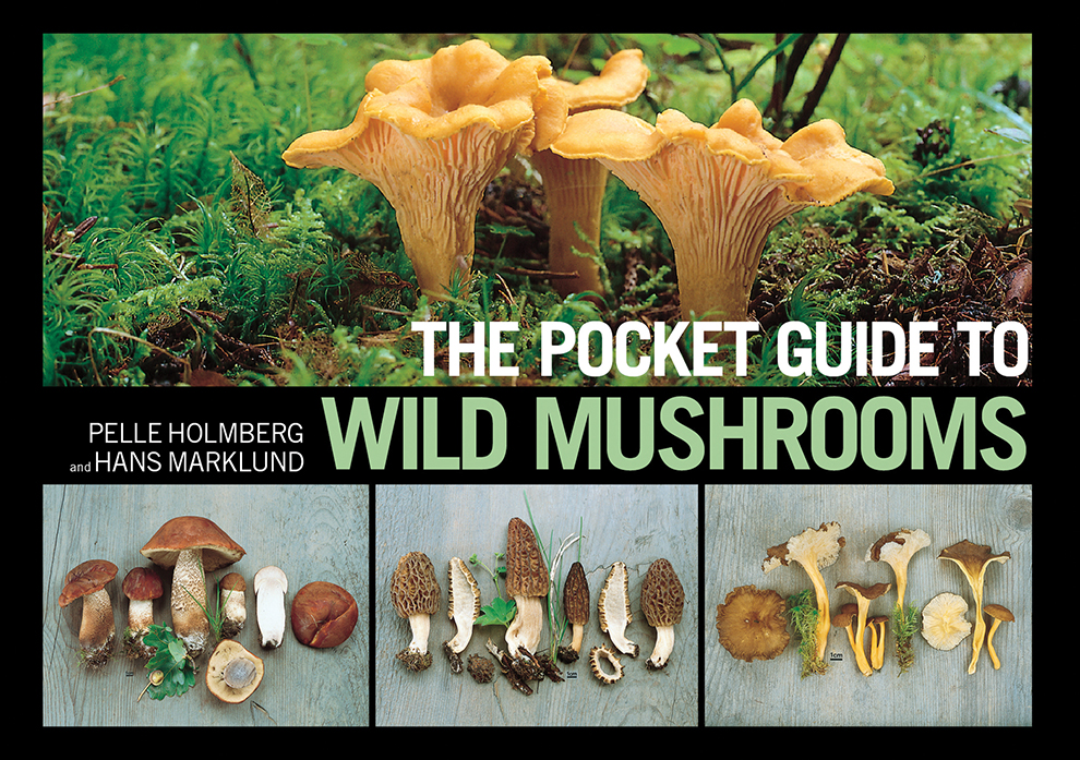The Pocket Guide To Wild Mushrooms Pelle Holmberg