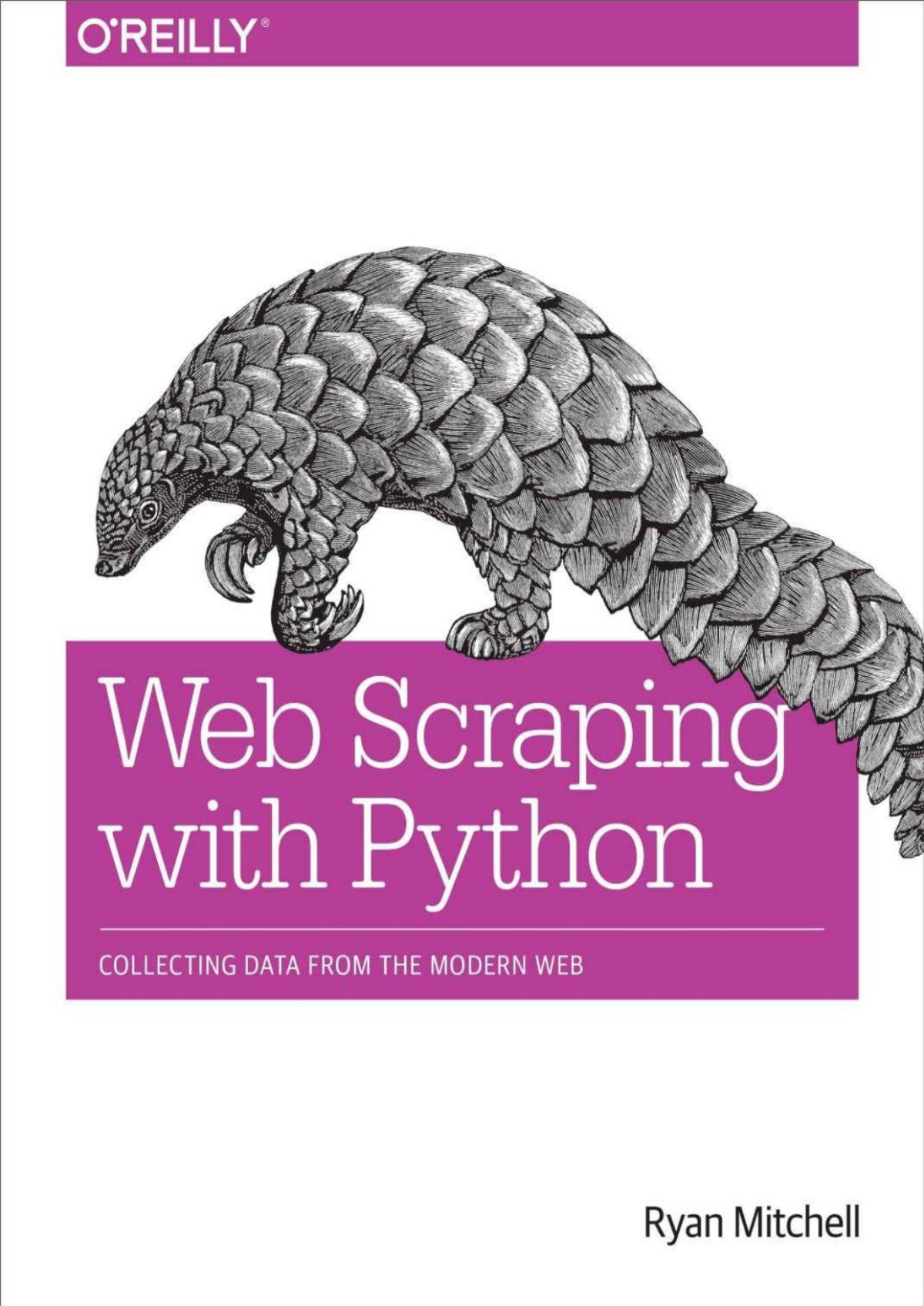 Web Scraping With Python Collecting Data From The Modern Web Ryan Mitchell