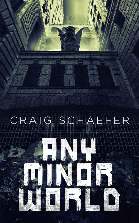 Any Minor World Craig Schaefer