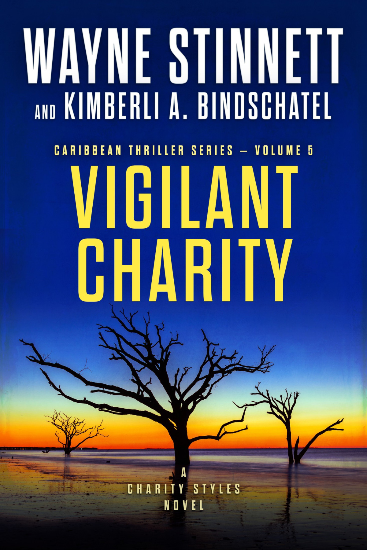 Vigilant Charity Wayne Stinnett Kimberli A Bindschatel