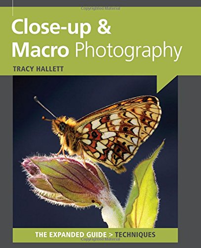 Close Up And Macro Photography Expanded Tracy Hallett