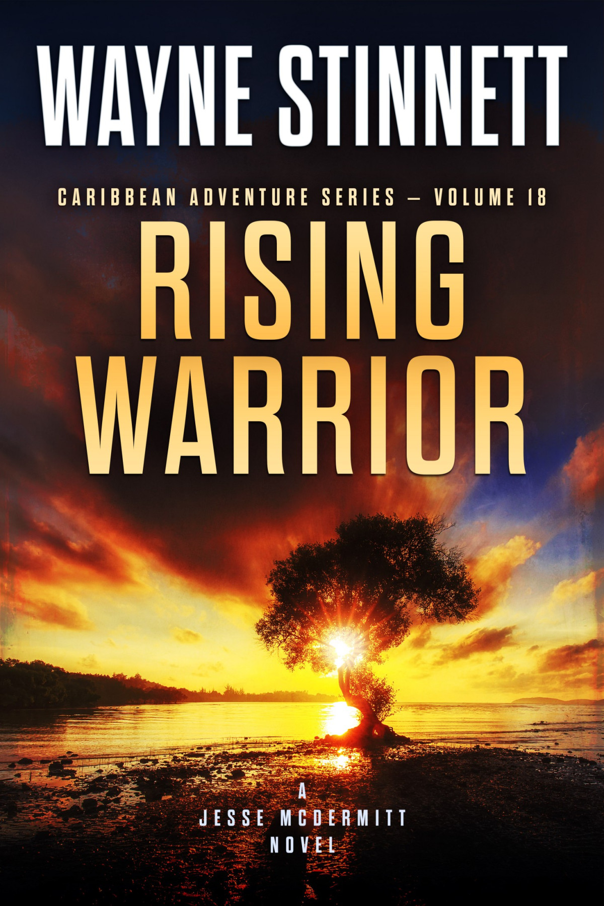 Rising Warrior Wayne Stinnett