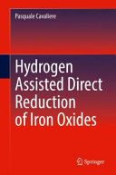 Hydrogen Assisted Direct Reduction Of Iron Oxides 1st Edition Pasquale Cavaliere