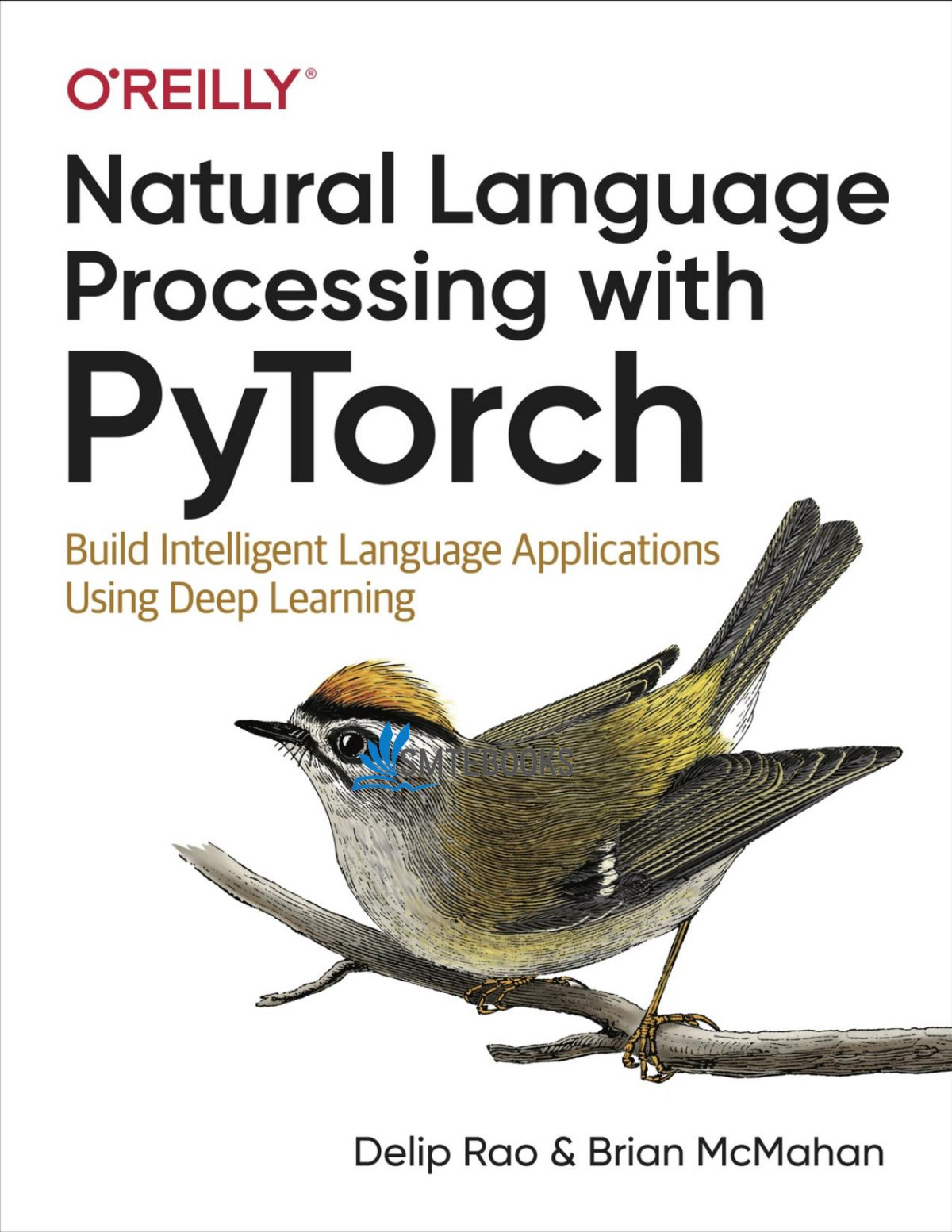 Natural Language Processing With Pytorch 2019th Edition Delip Rao