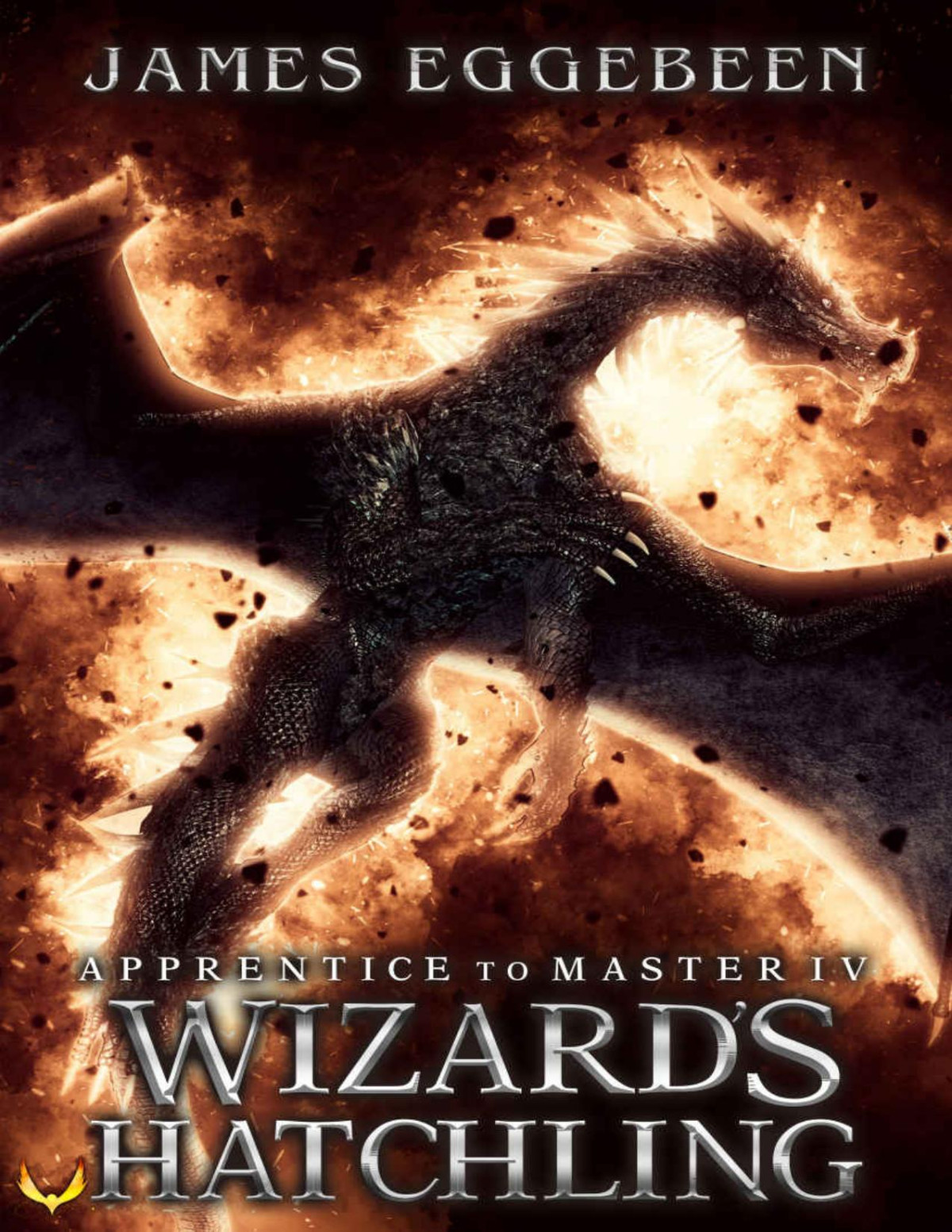 Wizards Hatchling An Apprentice To Master Universe Novel James Eggebeen
