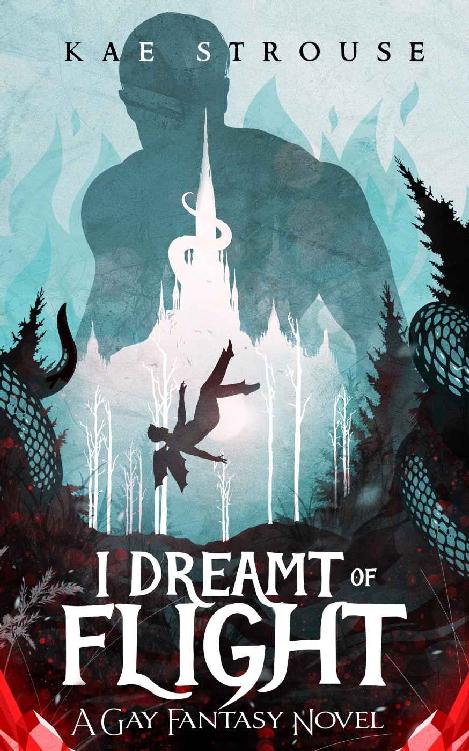 I Dreamt Of Flight Bondi 1 1st Edition Kae Strouse