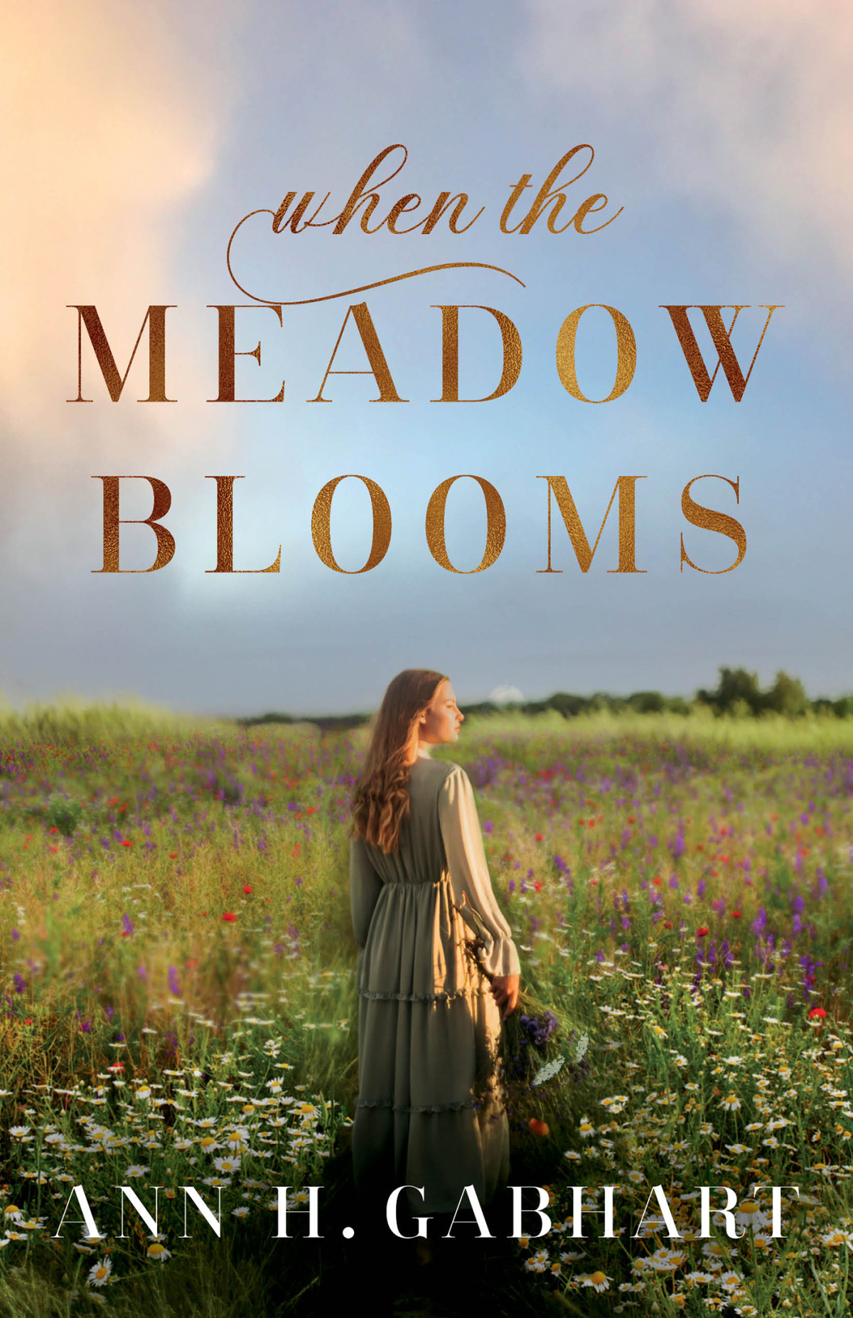 When The Meadow Blooms 1st Edition Ann H Gabhart