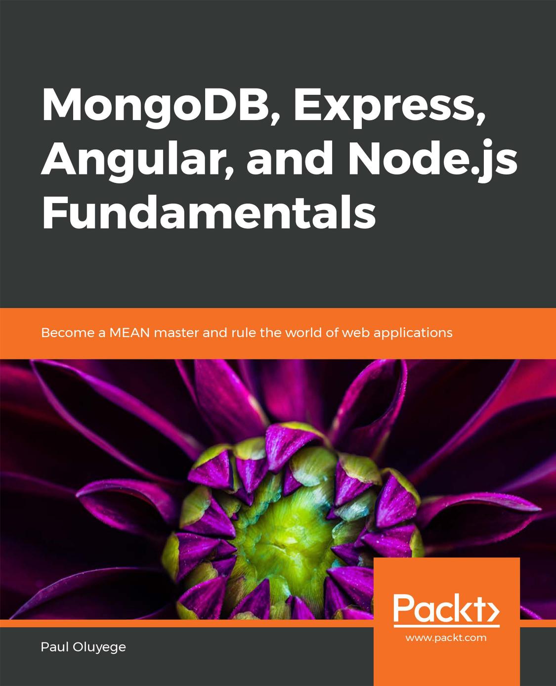 Mongodb Express Angular And Nodejs Fundamentals 1st Edition Paul Aluyege