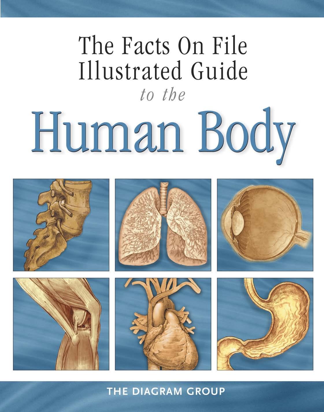 The Facts On File Illustrated Guide To The Human Body Tbd Diagram Group
