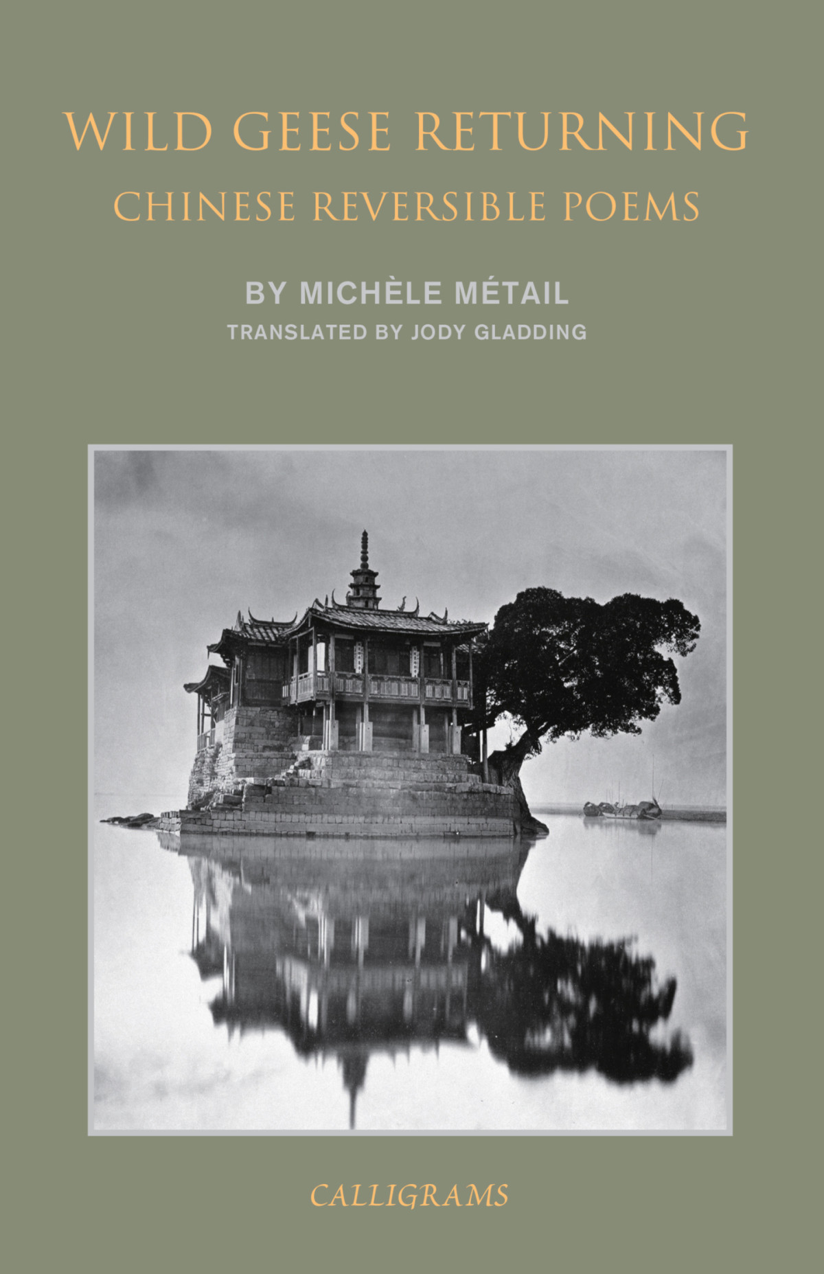 Wild Geese Returning Michele Metail