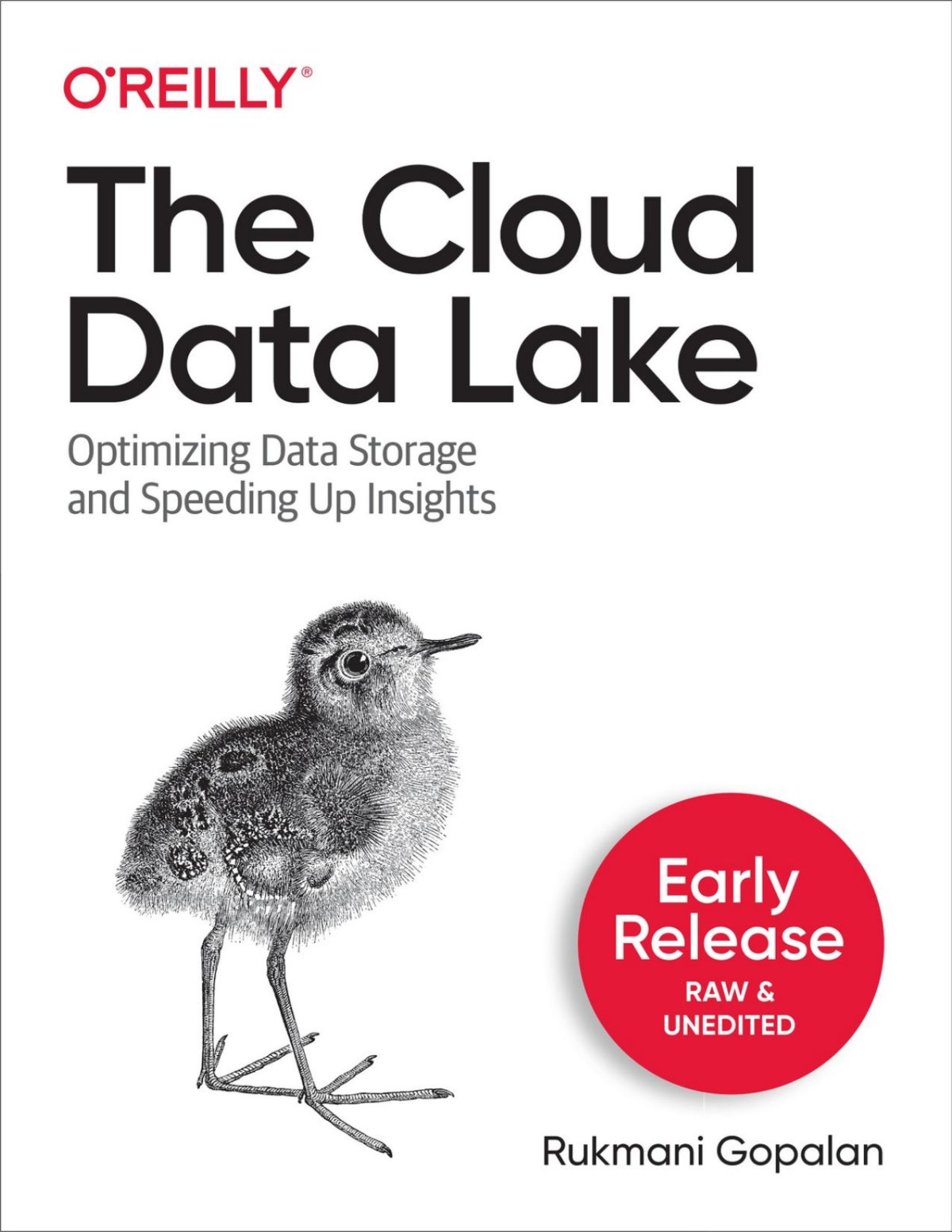 The Cloud Data Lake Early Release Rukmani Gopalan