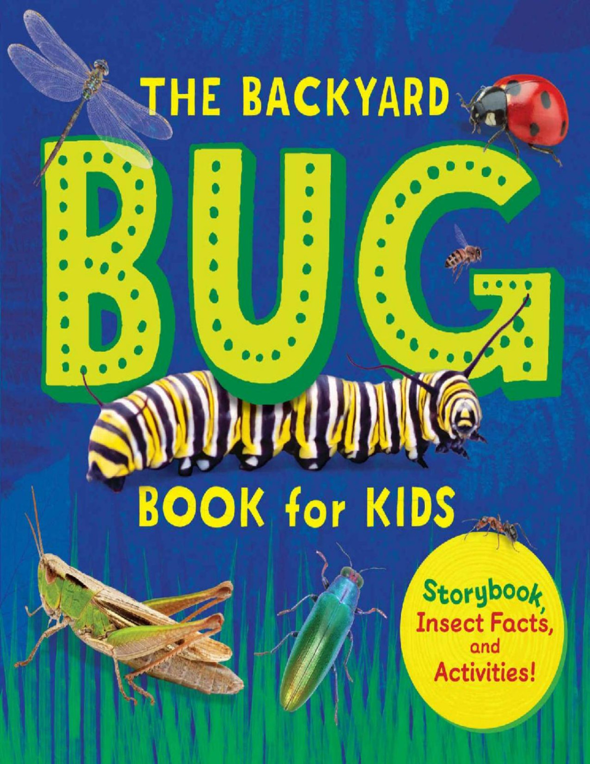 The Backyard Bug Book For Kids Storybook Insect Facts And Activities Lauren Davidson
