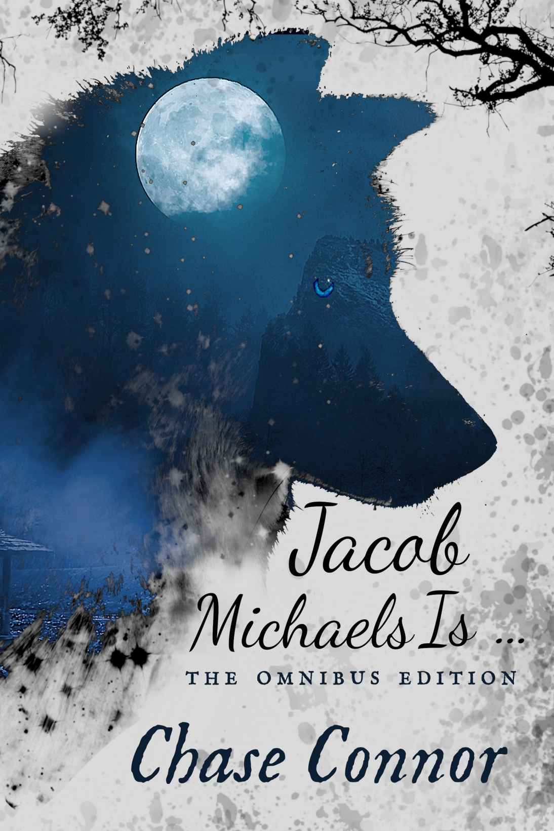 Jacob Michaels Is The Omnibus Edition Point Worth 16 1st Edition Chase Connor