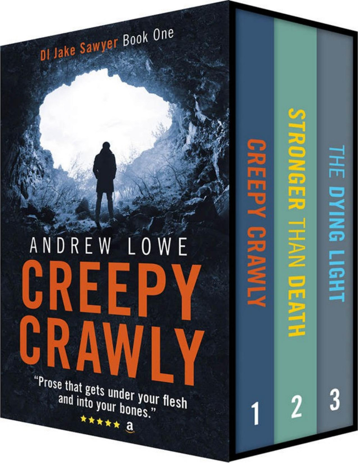 The Di Jake Sawyer Series Box Set Andrew Lowe